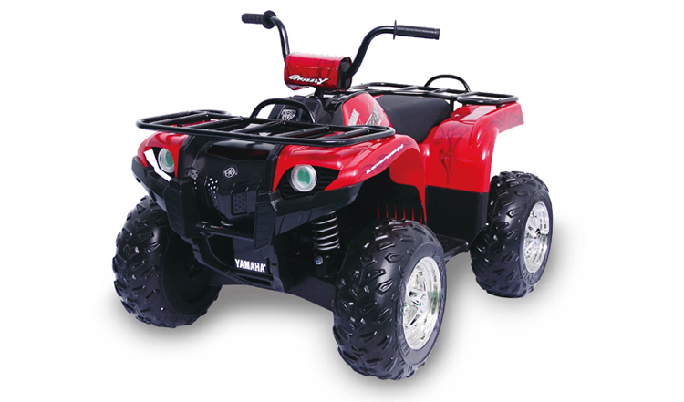 YAMAHA Grizzly 24V